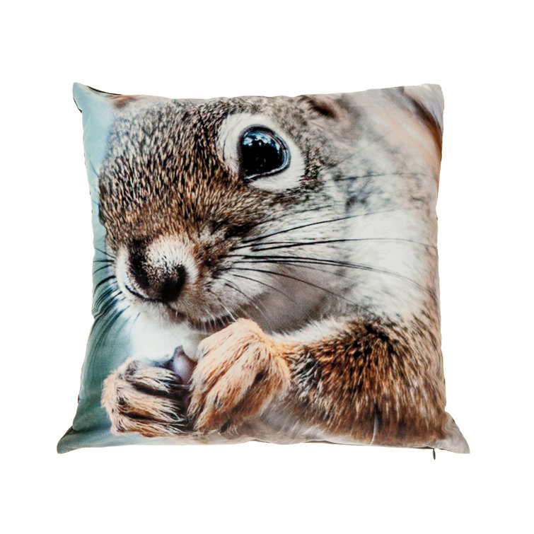 iHcasadécor Velvet Throw Pillow Wayfair Canada